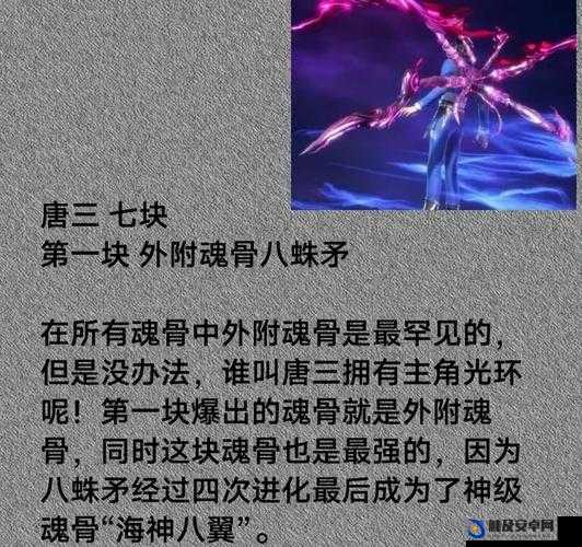 探究斗罗大陆中魂骨的具体作用及其对魂师能力提升的影响