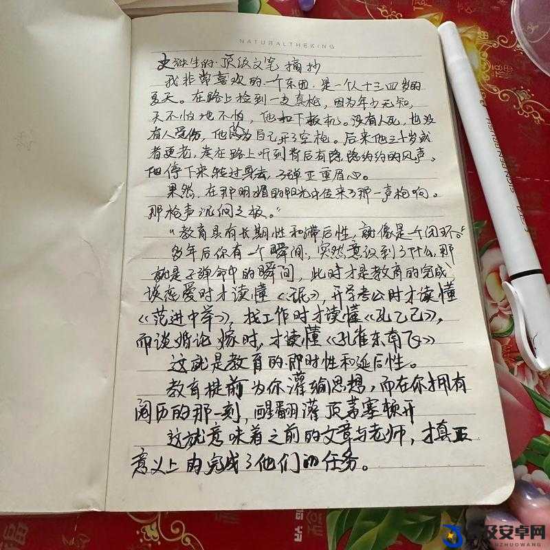 女婿有劲枪枪到底：这独特表述背后的故事与深意