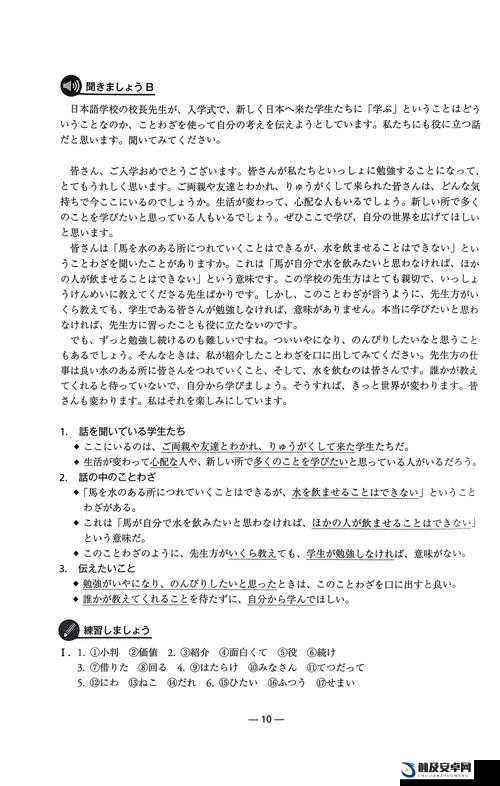 日本 ll 码实际等同于 xl 码的相关探讨