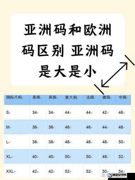 亚洲一码和欧洲二码的尺码区别差异详解之深入剖析与对比