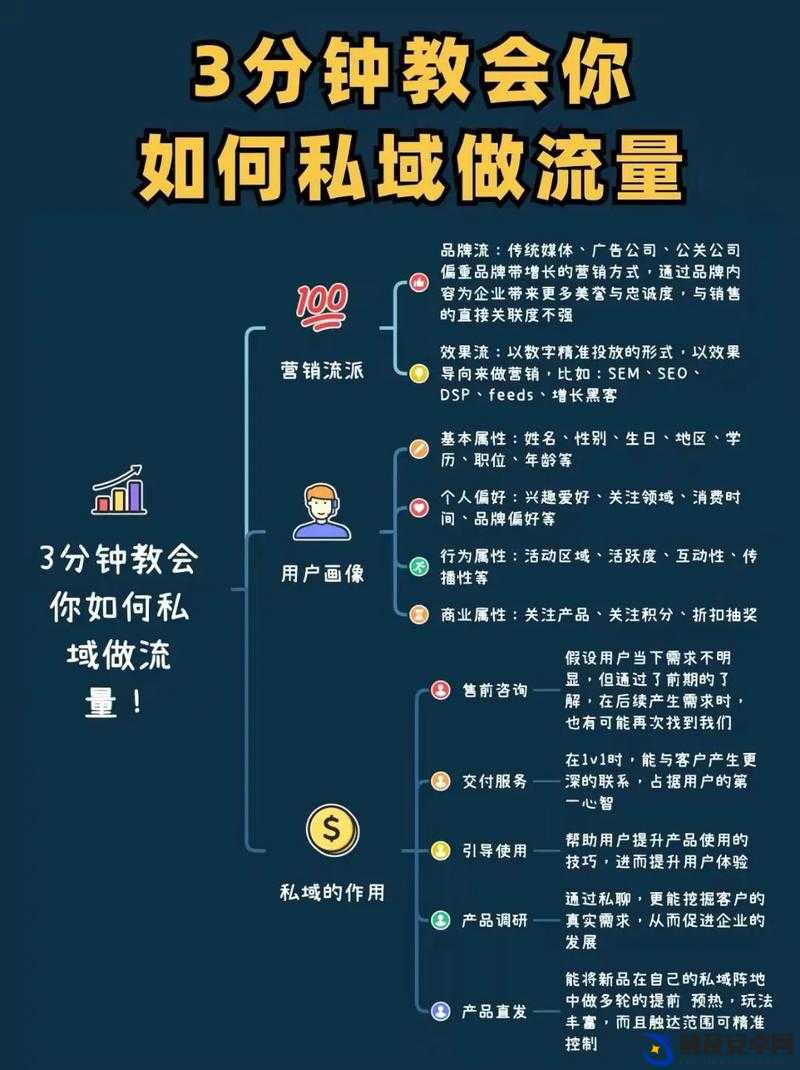 如何通过短视频页入口有效提升流量？揭秘后SEO时代的引流策略与技巧