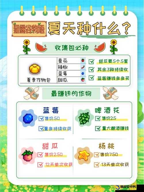 星露谷物语游戏中夏天快速赚钱的最佳策略与方法指南