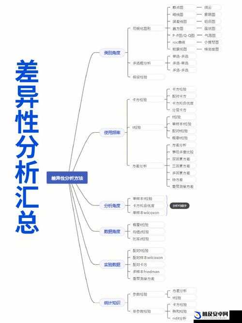 麻花豆精三大产区的区别特点及差异分析