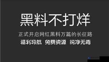 黑料不打烊 2024：探寻背后真相与未来发展走向