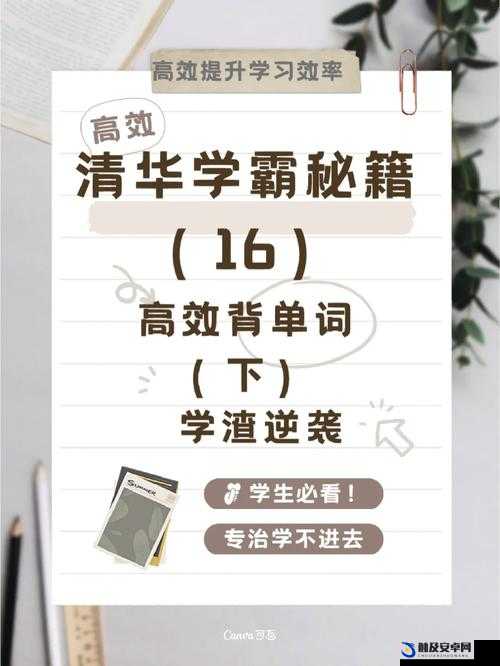 学渣坐在学霸鸡上背单词打造国产模块：见证学习新突破