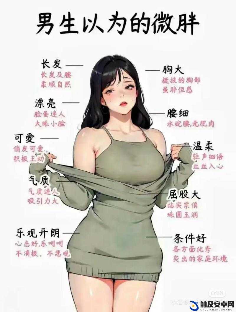 缅甸少妇 BBwBBwBBw：探寻她的故事与魅力