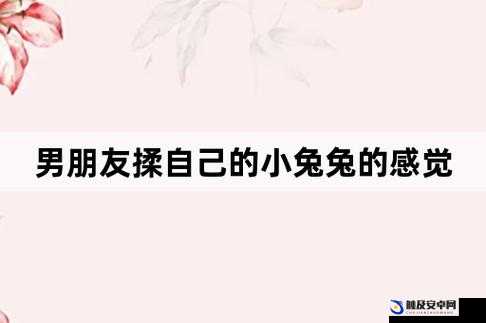 小兔兔被男生吃时什么感觉是否会疼呢