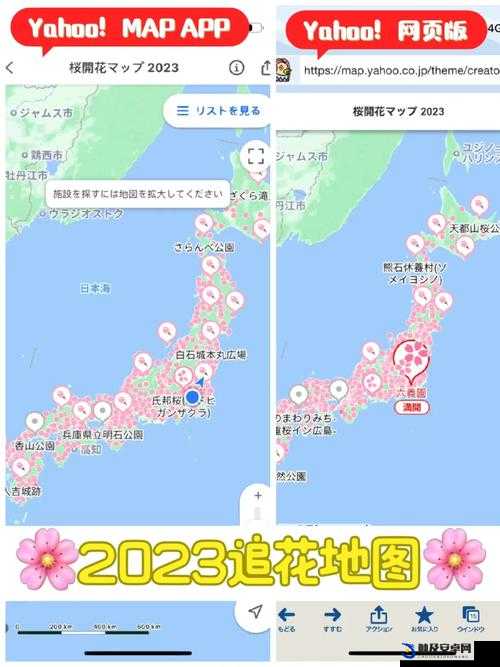 樱花官网官方进入版网址 2023：开启精彩世界的大门