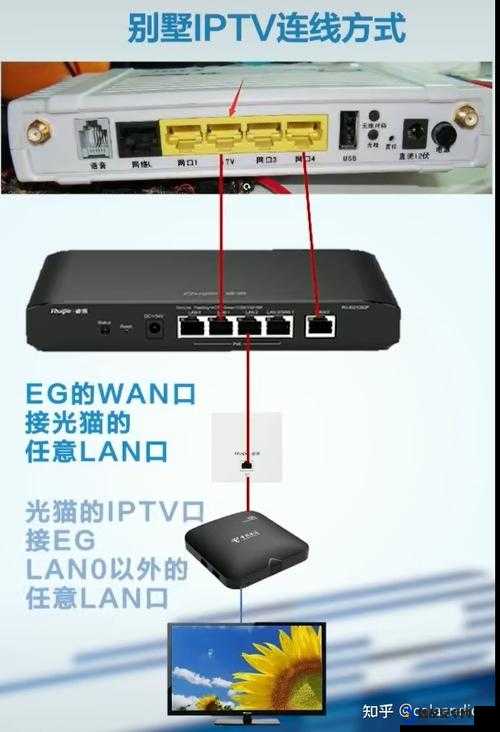 sywv7 有线高清电视线的优质传输保障与应用探索