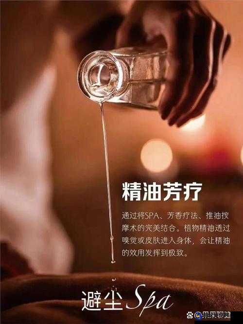 按摩 SPA 养生精油：开启身心舒缓的奢华之旅