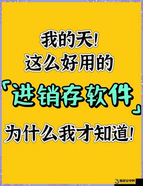 国外精产品 W灬源码 1688：打造高品质软件的秘密武器