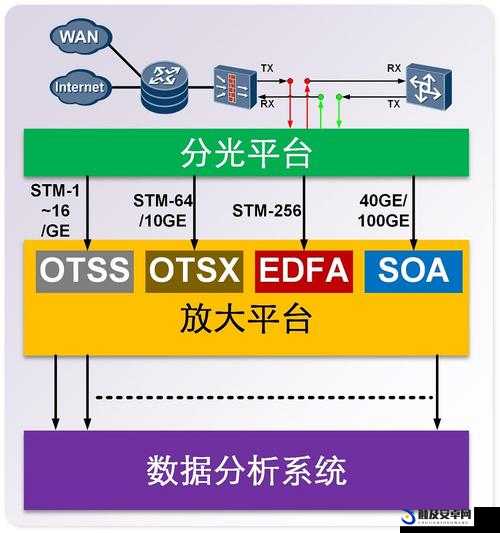 基于 SOA 光放大器的应用及前景