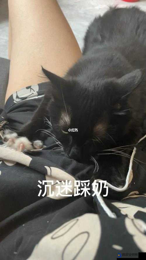 坤坤寒进桃子里嗟嗟：一段禁忌的爱情故事