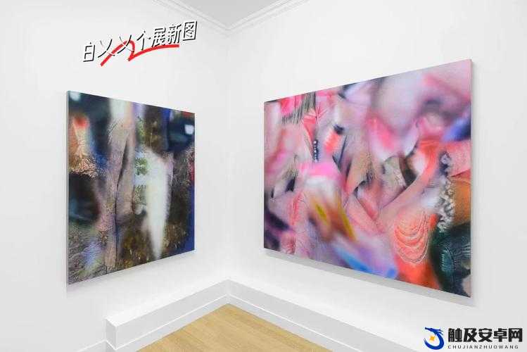 美国XXXXⅩ乂乂X 的发展现状与未来展望