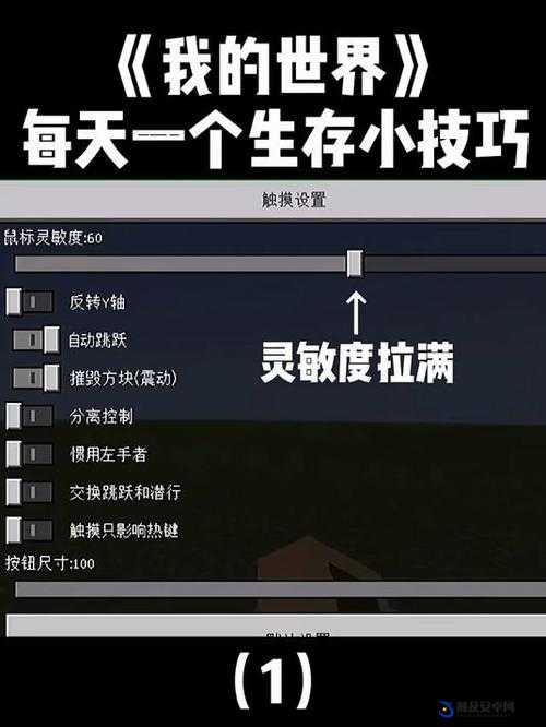 我的世界新手玩家向高手进阶，掌握这些关键技巧实现蜕变之路