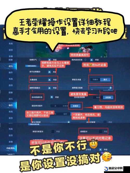 王者荣耀深度解析，普通玩家与高手之间的操作设置差异与奥秘