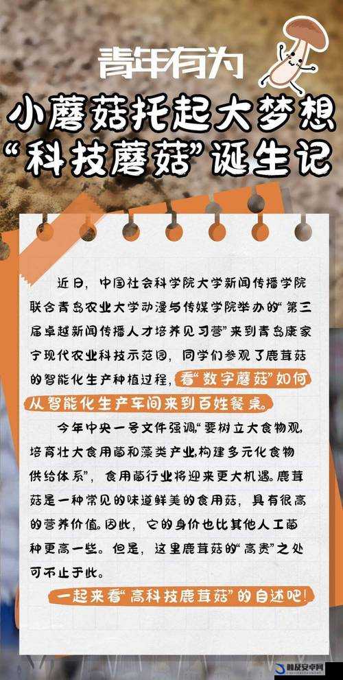 国产蘑菇 TV 每日更新无码发布页：精彩内容不断，畅享视觉盛宴