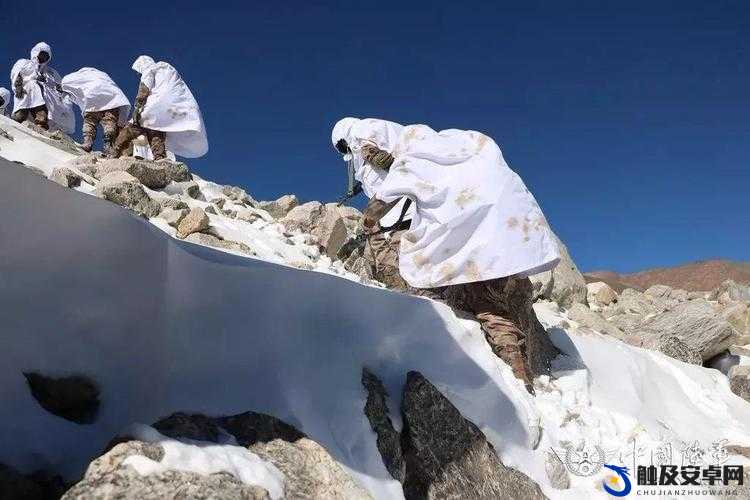 小草永久发 18 禁地布地扯：带你领略神秘的自然之美