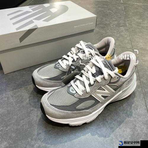 New Balance 990v6 美版与亚洲版：详细比较与解析