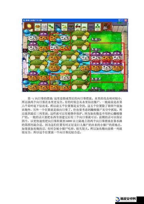 植物大战僵尸，全面解析植物僵尸打法策略与实战攻略