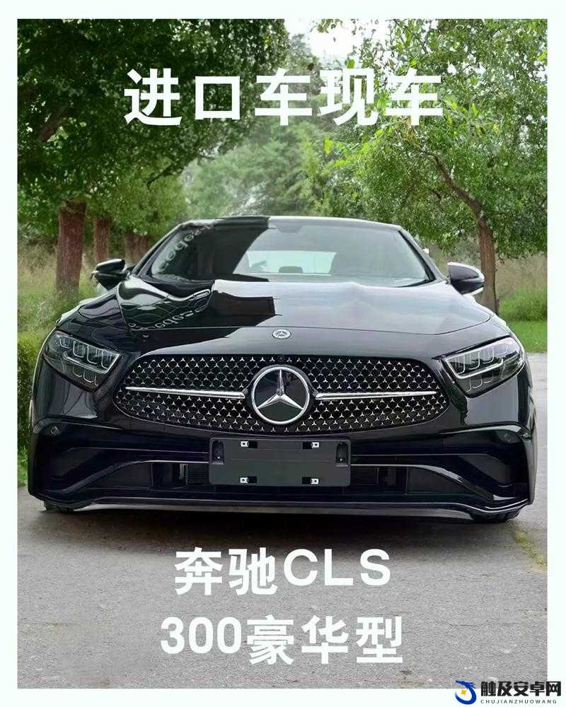 cls 区手机地址 2024 相关：探索其独特魅力与发展前景