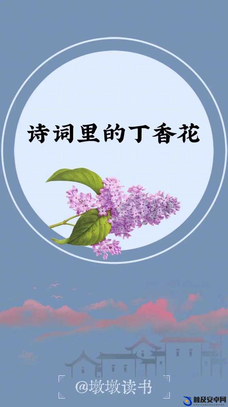 九月丁香九月，那份深深的爱热烈绽放