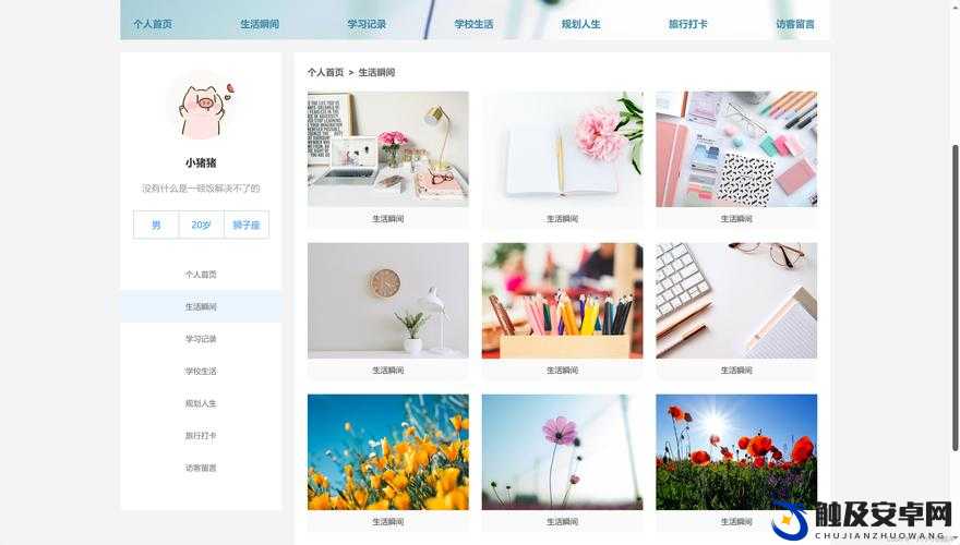 web 成品网站之全面详细介绍与深度剖析及功能展示