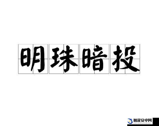 一个暗字一个珠字巧妙结合，揭秘成语明珠暗投的深层含义