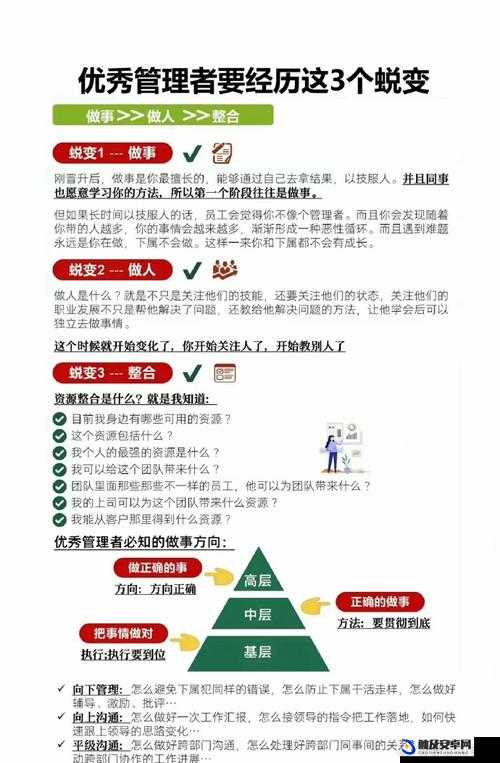 2025蛇年新春指南，如何有效提升追随者品质及掌握品质升级方法