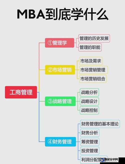 国际 b 站免费直播入口 MBA 智库：一个极具价值的知识宝库