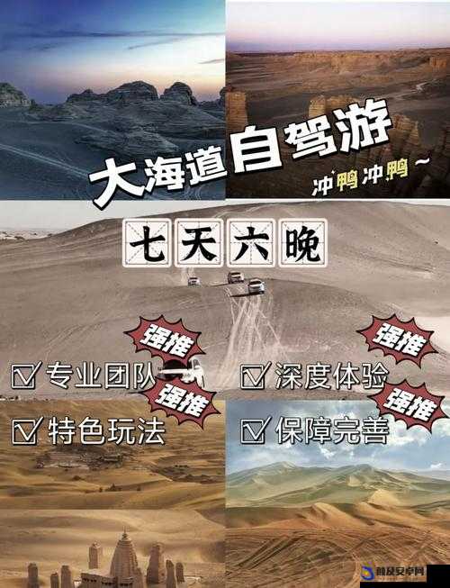 51 无人区码一码二码三码四码：探索神秘之地的指南