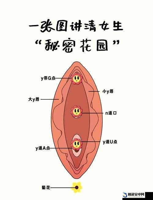 怎么玩隐私位置：全面解析其玩法及注意事项