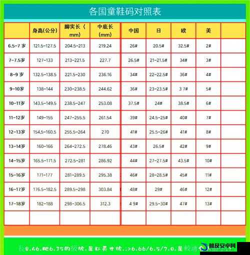 亚洲尺码和欧洲尺码 2024 更新：尺码标准变化与未来趋势展望