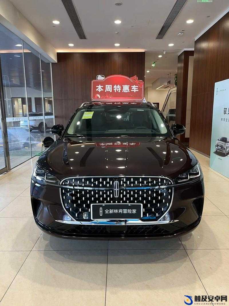 国产 SUV 精品 201：城市冒险家的最佳伴侣