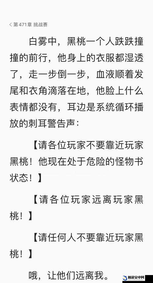 红桃 49.5：神秘数字背后的奇妙故事