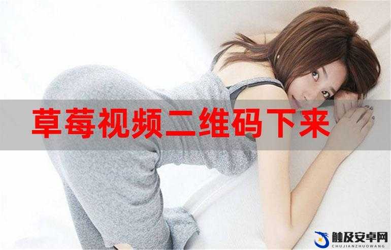 草莓视频首页：探索无尽的精彩视频世界