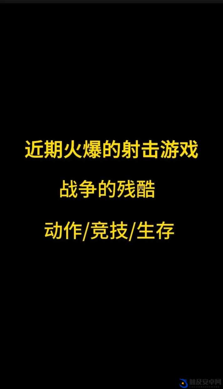 91 射击游戏：独特的游戏体验与魅力