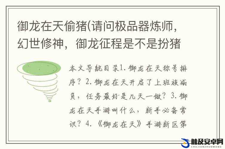 御龙在天游戏高手必备，偷猪技巧全揭秘，细节处理决定最终成败