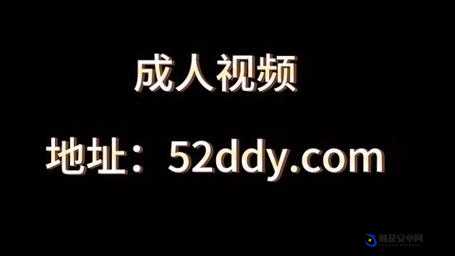 成年人的世界：又爽又黄又好看的精彩世界