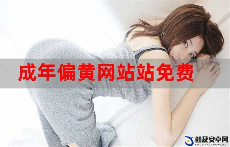 美女网站黄之独特魅力与精彩呈现