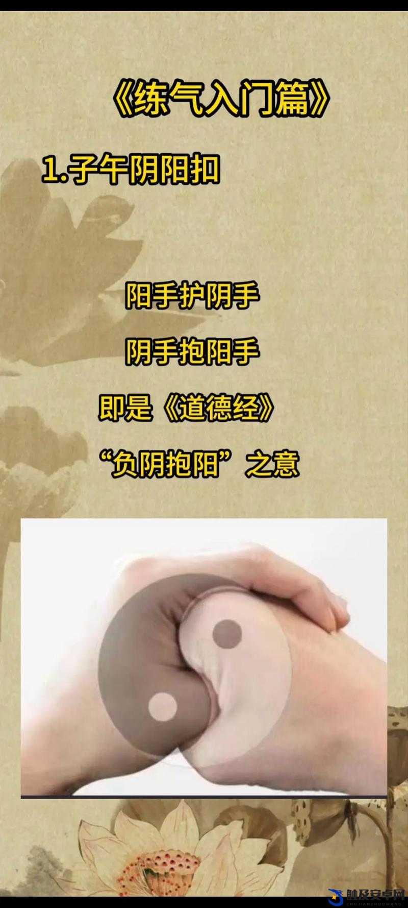 大掌门玩家必备，揭秘高效分享与快速练气方法的实用攻略