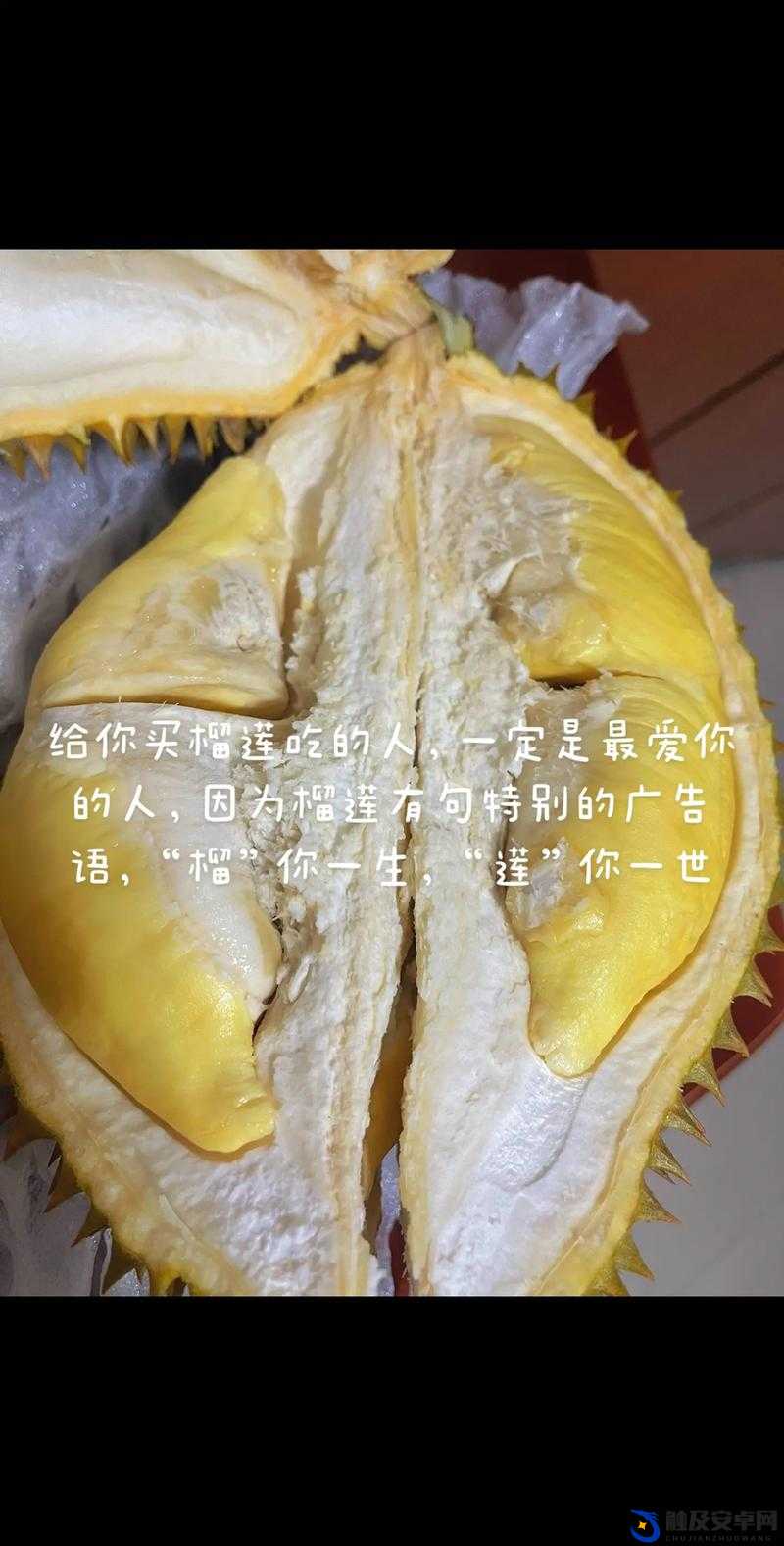 ll999 榴莲：让你流连忘返的美味，你尝过了吗？