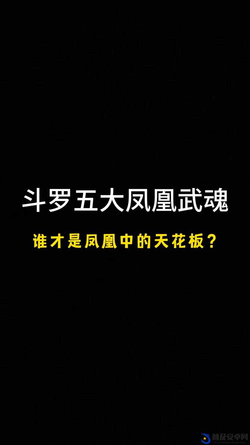 斗罗大陆中凤凰觉醒心法的深度剖析与修炼技巧探析